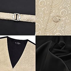 GUSLESON Mens Paisley Champagne Suit Vest Tie and