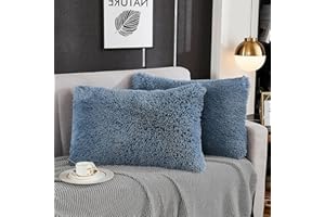 WERDIM Shaggy Fluffy Faux Fur Pillowcases 2 Pack Button Closure Velvet Pillow Shams Standard/Queen Size (Dusty Blue, 20 X 26 Inches)