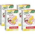 TRUE LEMON Fruit Punch Packets - Low Sugar, No Preservatives Kids Hydration Drink Mix (Pack of 4)