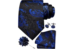 GUSLESON 8cm Paisley Tie Set for Men Necktie Lapel Pin Pocket Square Cufflinks Set for Men