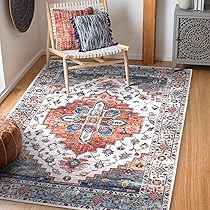 Amazon.com: COMSLE Area Rug 4x6 Faux Wool Rugs for Kitchen