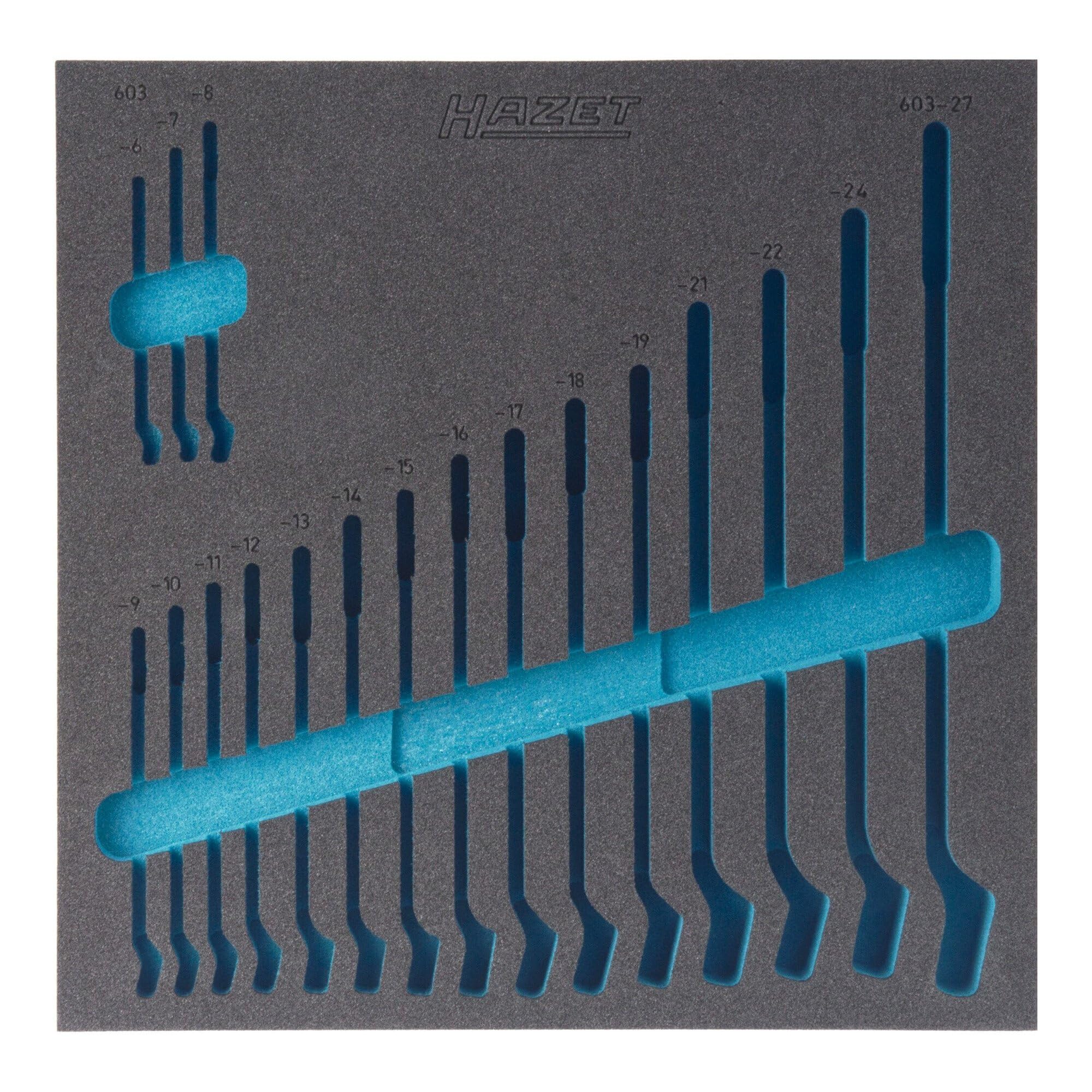 HAZET 163-99L 2-Component Soft Foam Insert - Multi-Colour