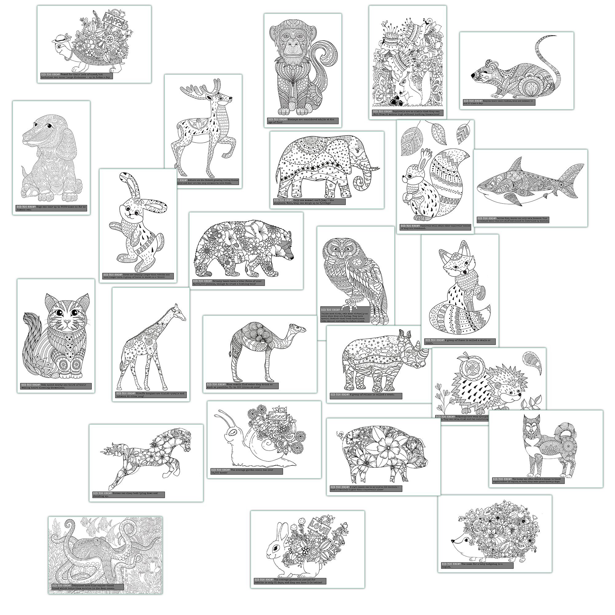 Mindfulness Colouring Postcards: Anti-Stress Art Therapy Postcard Set Drawn in Adult Colouring Book Style