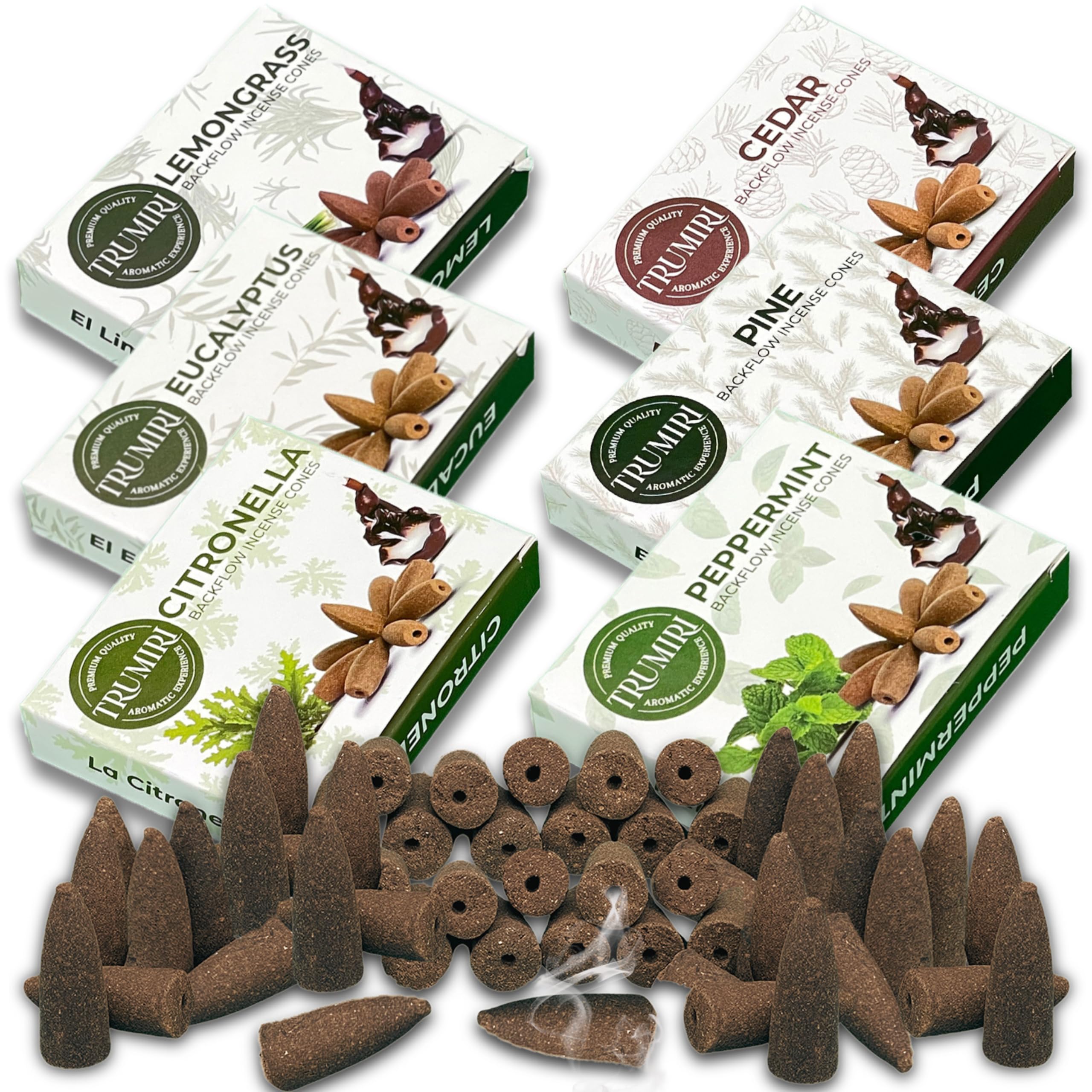 Leafy - Backflow Incense Cones for Waterfall - Scented Inscents-Cones - Peppermint, Citronella, Pine, Cedar, Eucalyptus, Lemongrass - Insiensos Aromaticos - 6x10=60 Large Variety Pack