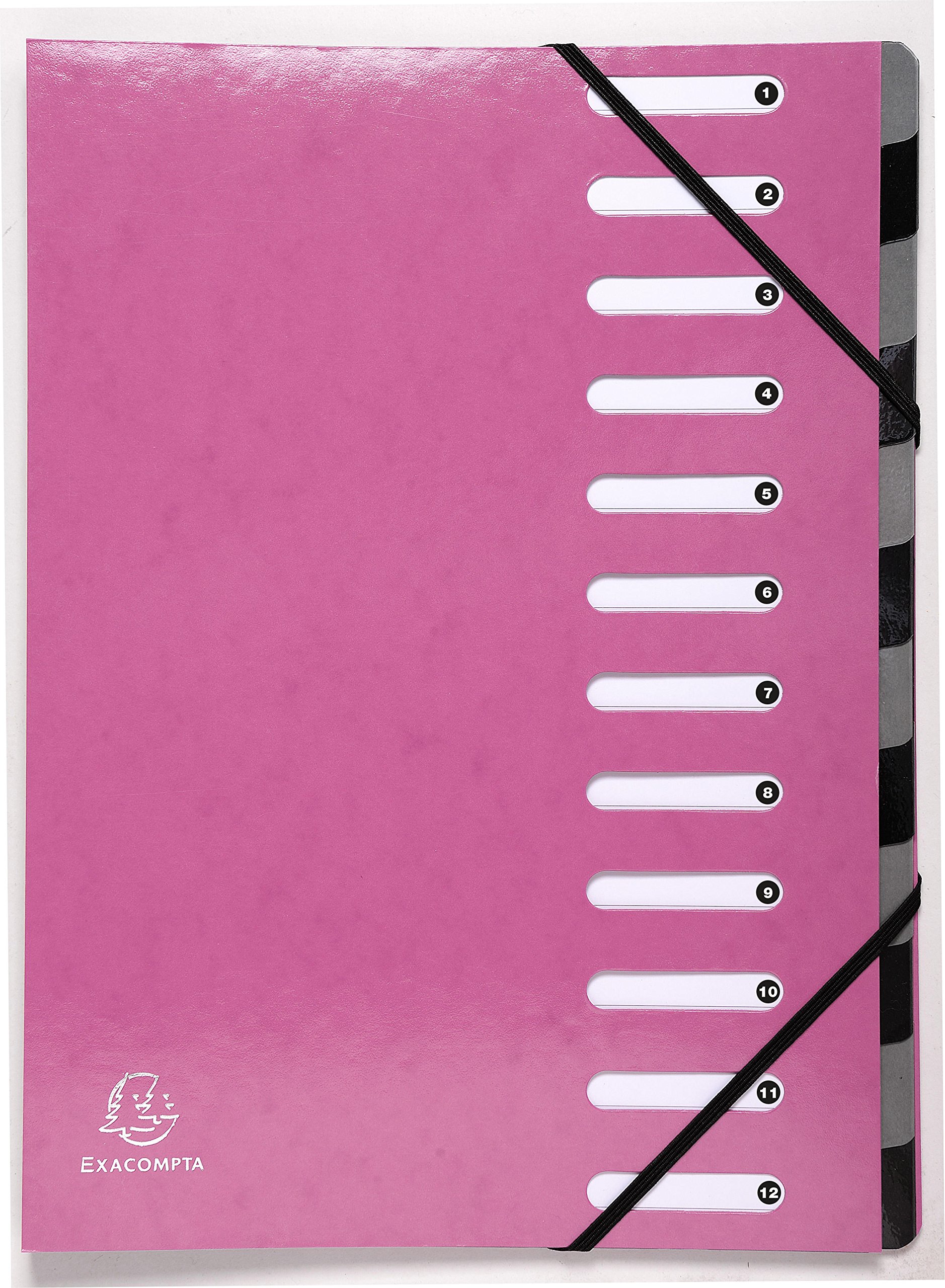 Exacompta - Ref 53928E - Iderama Collection - Harmonika Multipart File - 245 x 320mm in Size, Suitable for A4 Documents, 12 Multicoloured Tabbed Sections - Pink — image 1