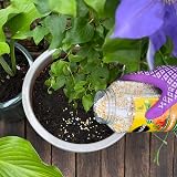 Miracle-Gro Continuous Release All Purpose Plant Food 900G White view 4