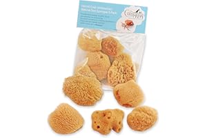 Constantia Pets Hermit Crab Real Sea Sponges - 5 Pack Unbleached, Provides Nutrients, Safer Drinking and Helps Maintain Habitat Tank Humidity