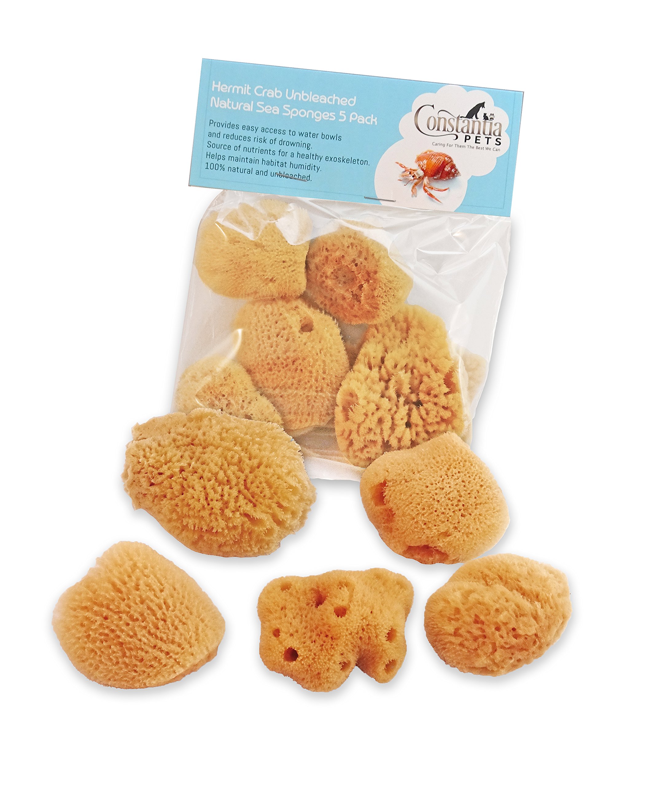 Constantia Pets Hermit Crab Real Sea Sponges - 5 Pack Unbleached, Provides Nutrients, 0.50 oz, Safer Drinking and Helps Maintain Habitat Tank Humidity