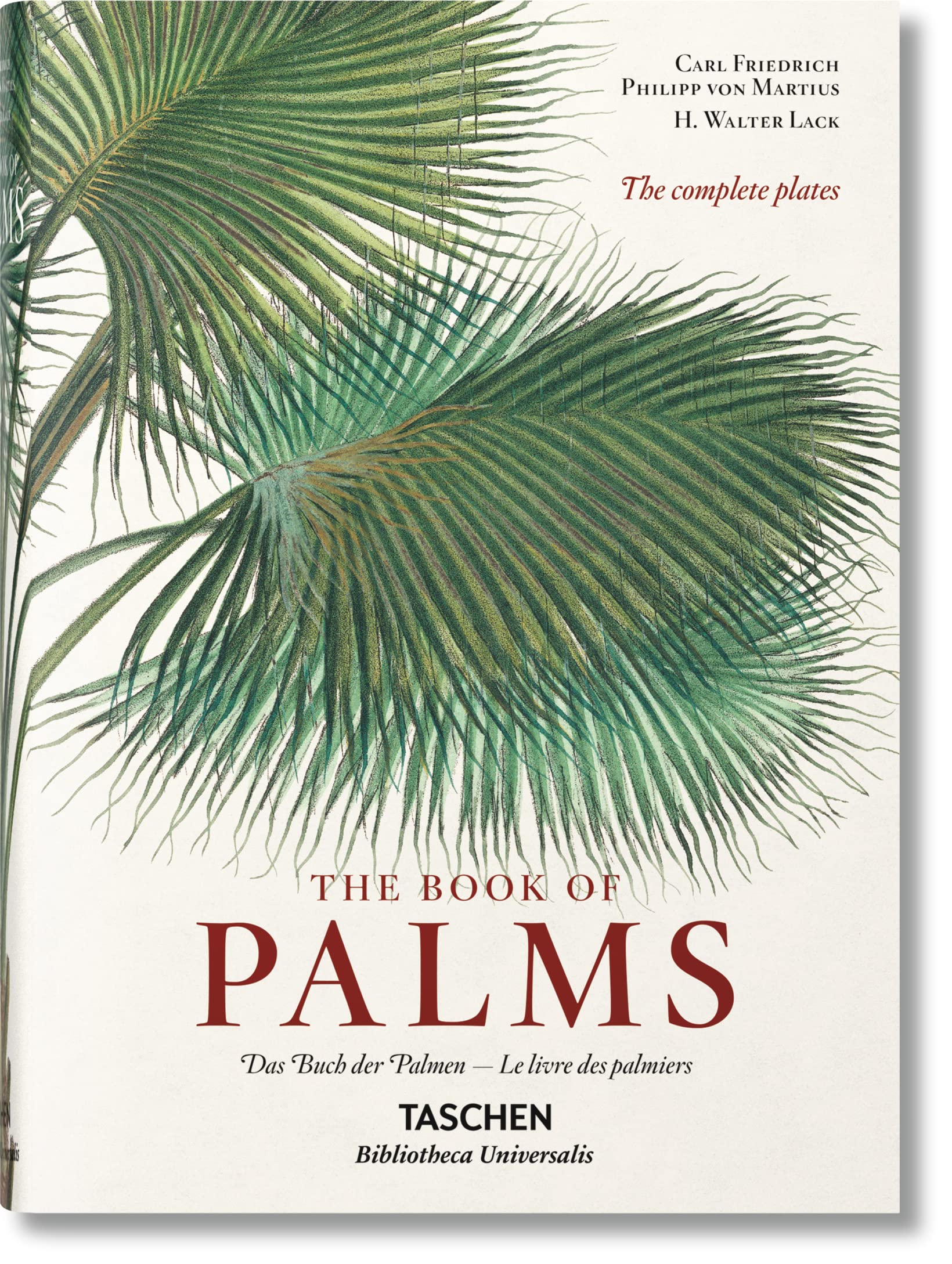 Martius: The Book of Palms