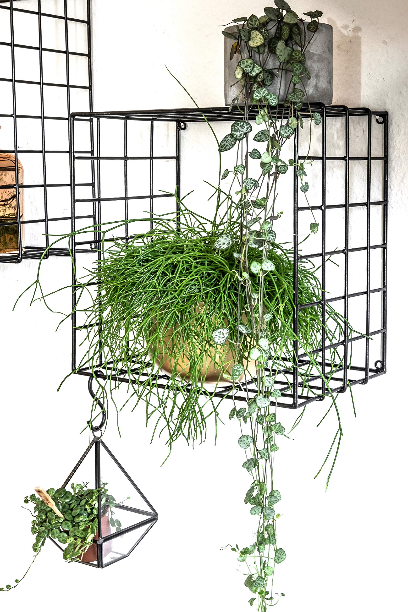 Kimisty Set of 3 Metal Floating Shelves Decorative Wire