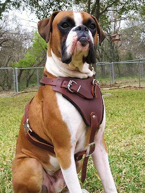 leather pet harnesses