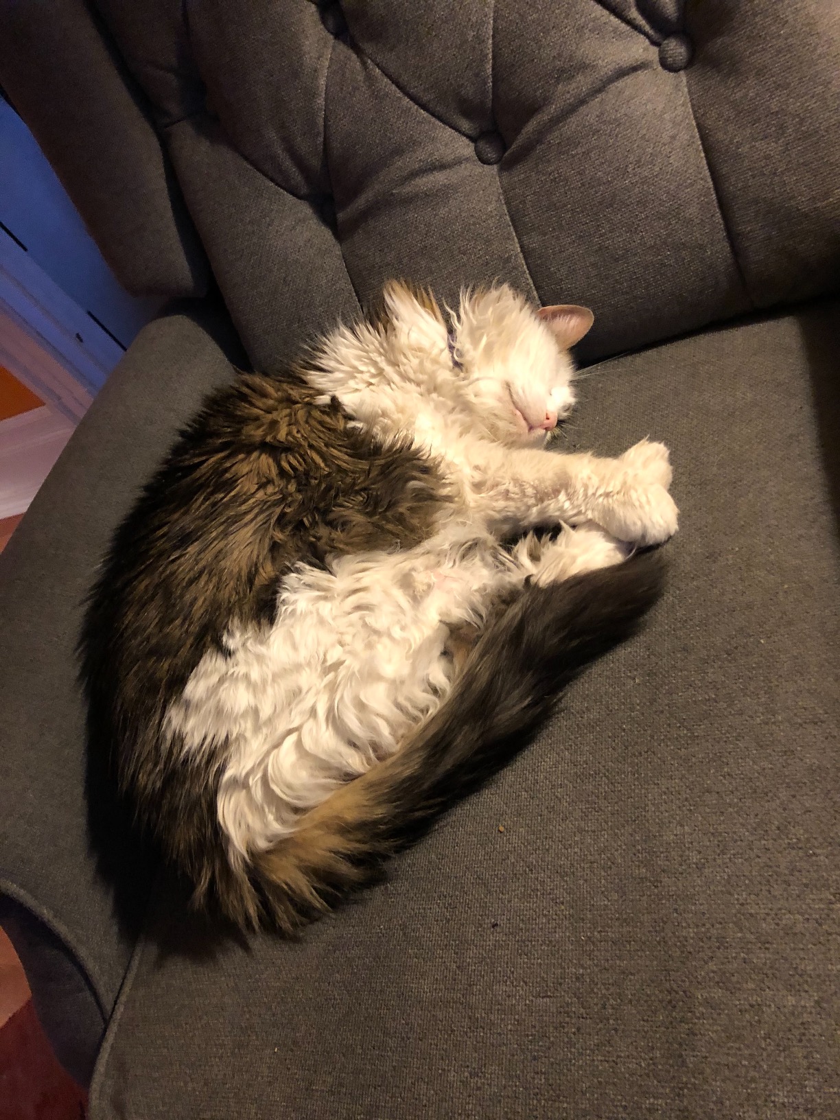 32/mo Finance YANXUAN Pushback Recliner Chair, Tufted Armchair with