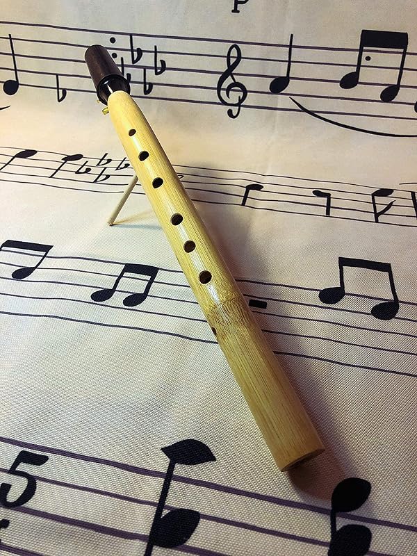 Saxaflute, Soprano Hand turned Saxophone. Recorder fingering. Amazon