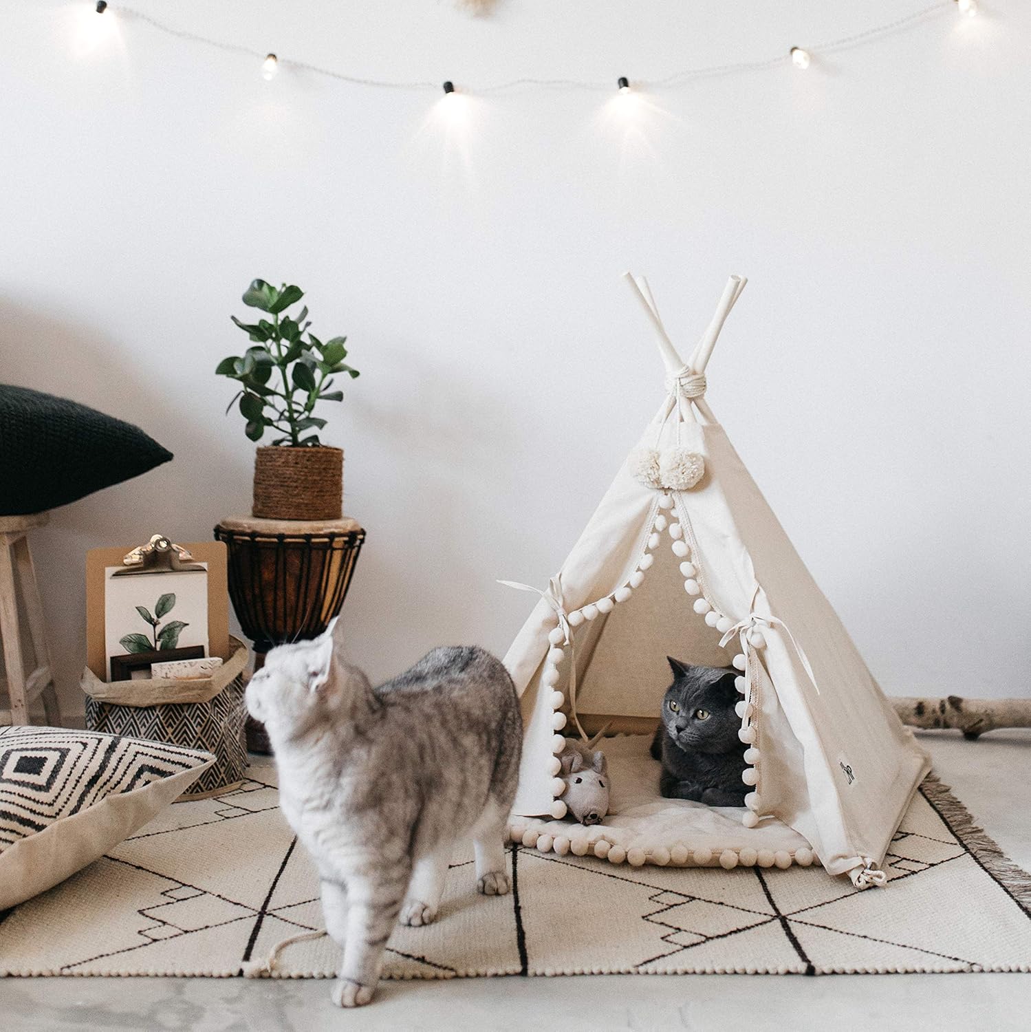 cat tipi bed