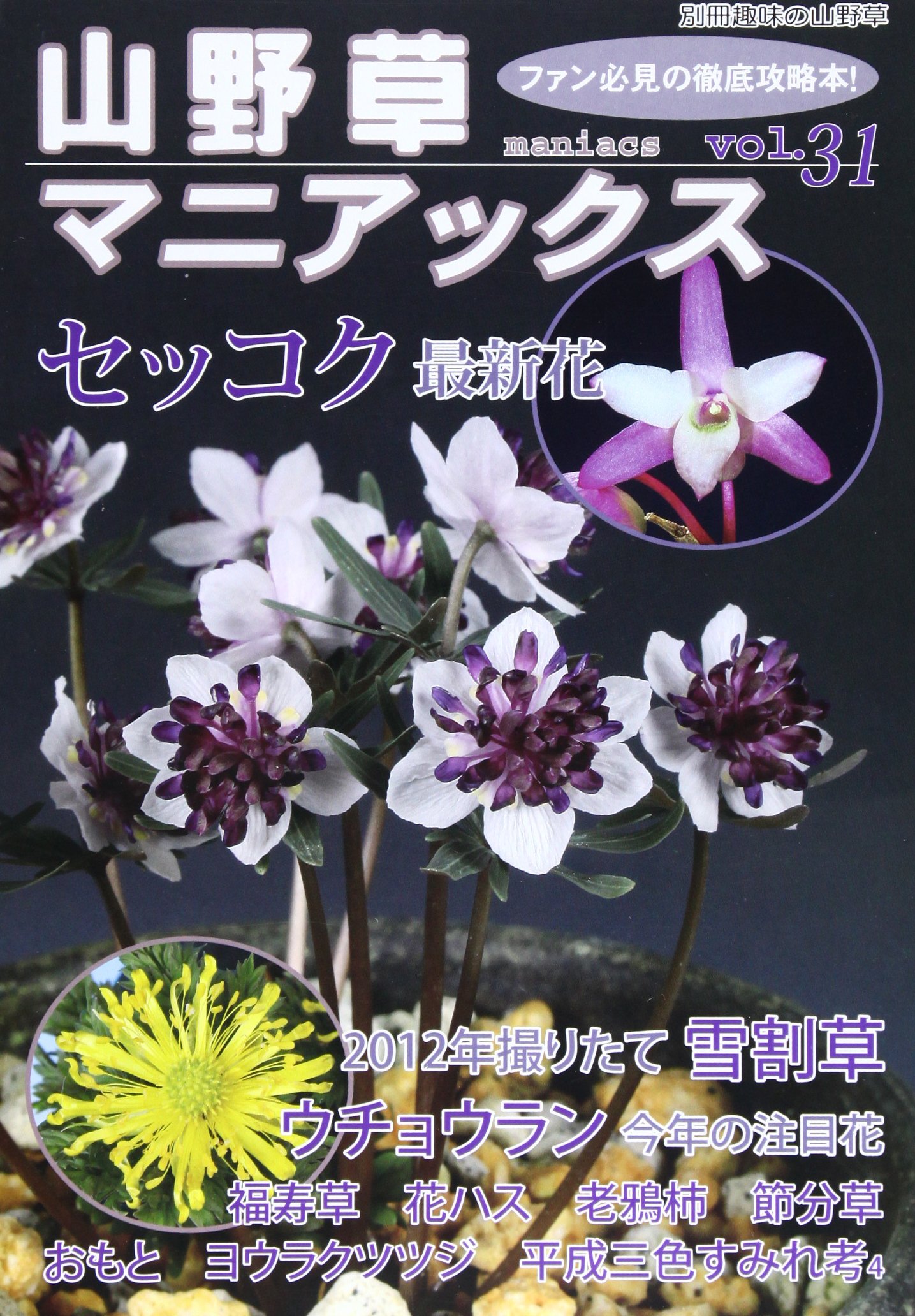 A E Ze Aƒzaƒ A Aƒƒa A Vol 31 A Aƒƒa A A E ªa E A A Aƒaƒ A Aƒ C Aƒ C A E Aƒ C Aˆ E Aƒ Es Aƒa Aƒ E E Aˆ A Se A A A E Ze Amazon Co Uk Books