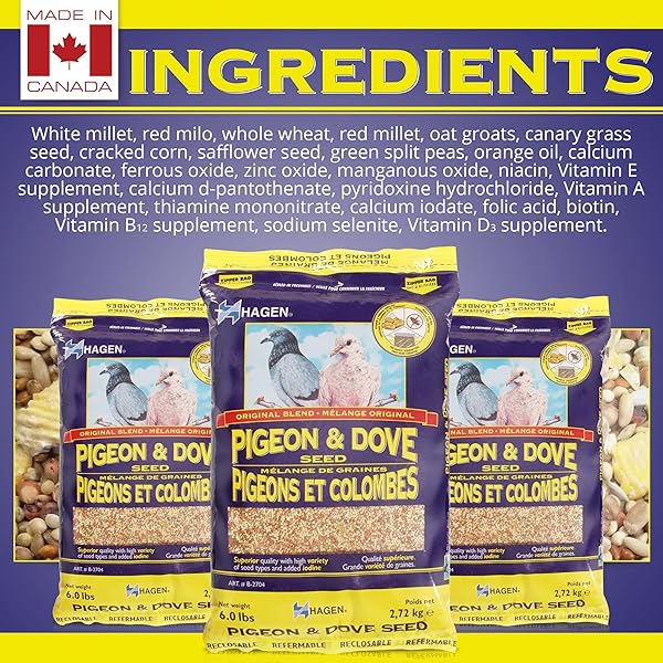 HAGEN PIGEON & DOVE SEED – ORIGINAL FORMULA BIRD FOOD, 6 LB BAG – NUTRITIONALLY COMPLETE SEED MIX WITH VITAMINS & MINERALS – WILD & CAPTIVE BIRD DIET – INSECT-RESISTANT AIR-TIGHT PACKAGING