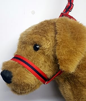 dog head collar figure eight