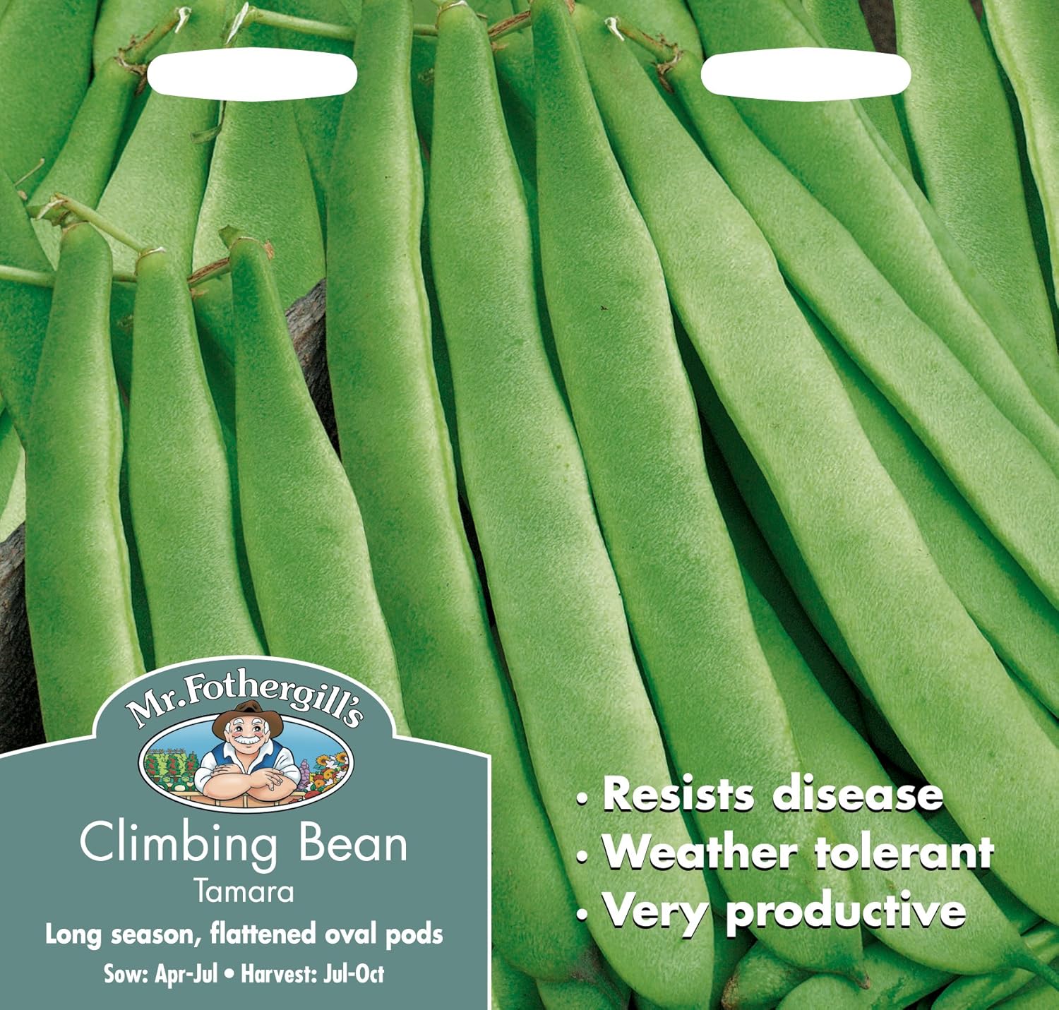 Mr Fothergill's 23779 Vegetable Seeds, Climbing French Bean Tamara