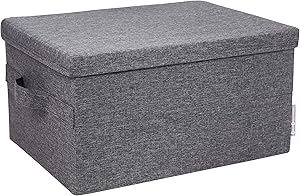 Bigso Soft Foldable Polyester Storage Box with Lid, 9.8 x 13.4 x 17.7 in, Large, Grey