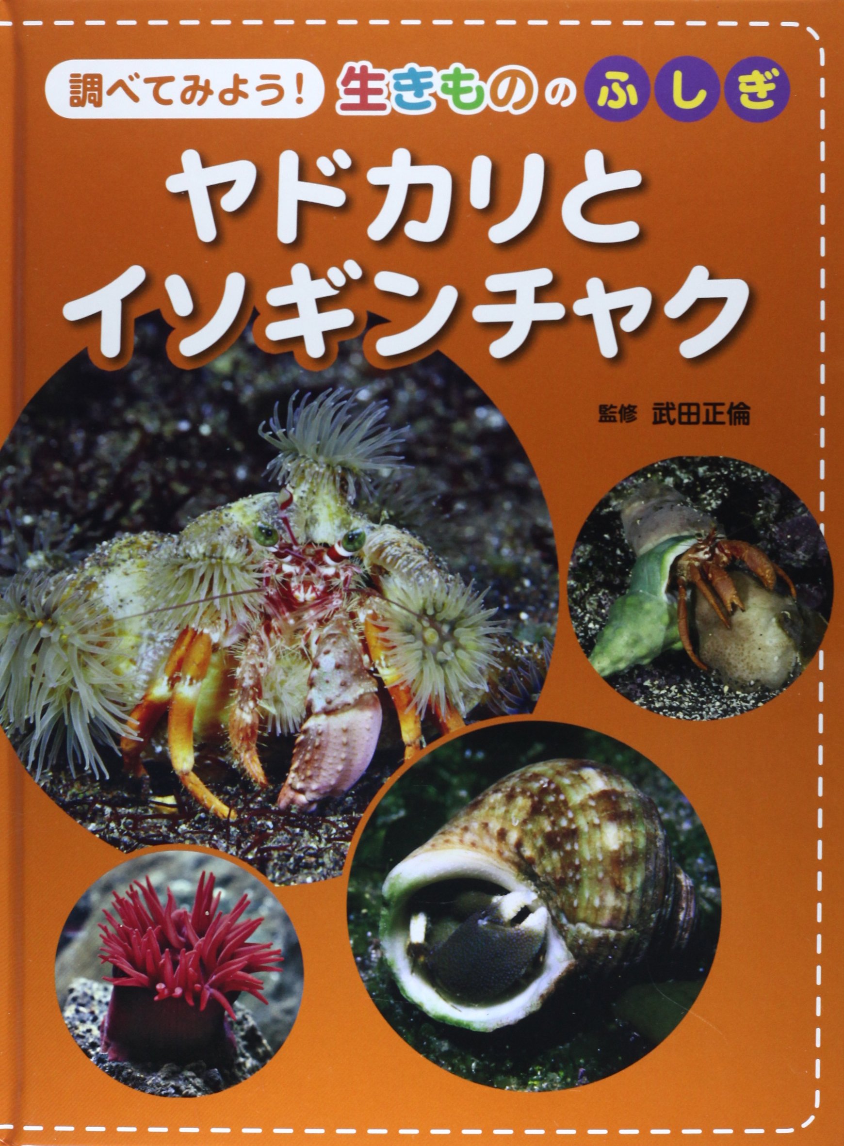 調べてみよう 生きもののふしぎ ヤドカリとイソギンチャク 正倫 武田 本 通販 Amazon