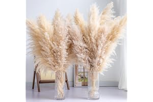 WILD AUTUMN Tall Pampas Grass 30PCS Boho Decor Natural Home Decor Phragmites Dried Flowers Bouquet for Wedding Floral Arrangements Home Decorations (30PCS Tall Pampas Grass)