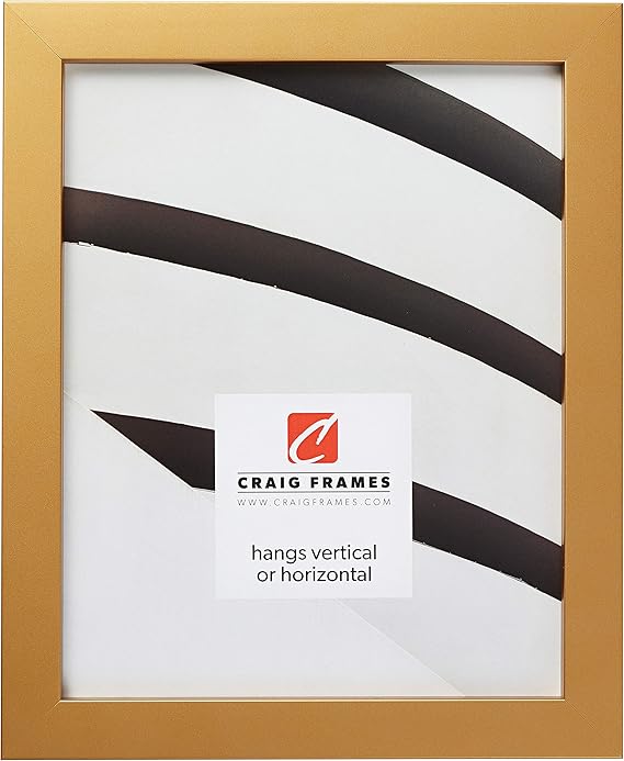 Craig Frames Confetti, Modern Gold Picture Frame, 16 x 24