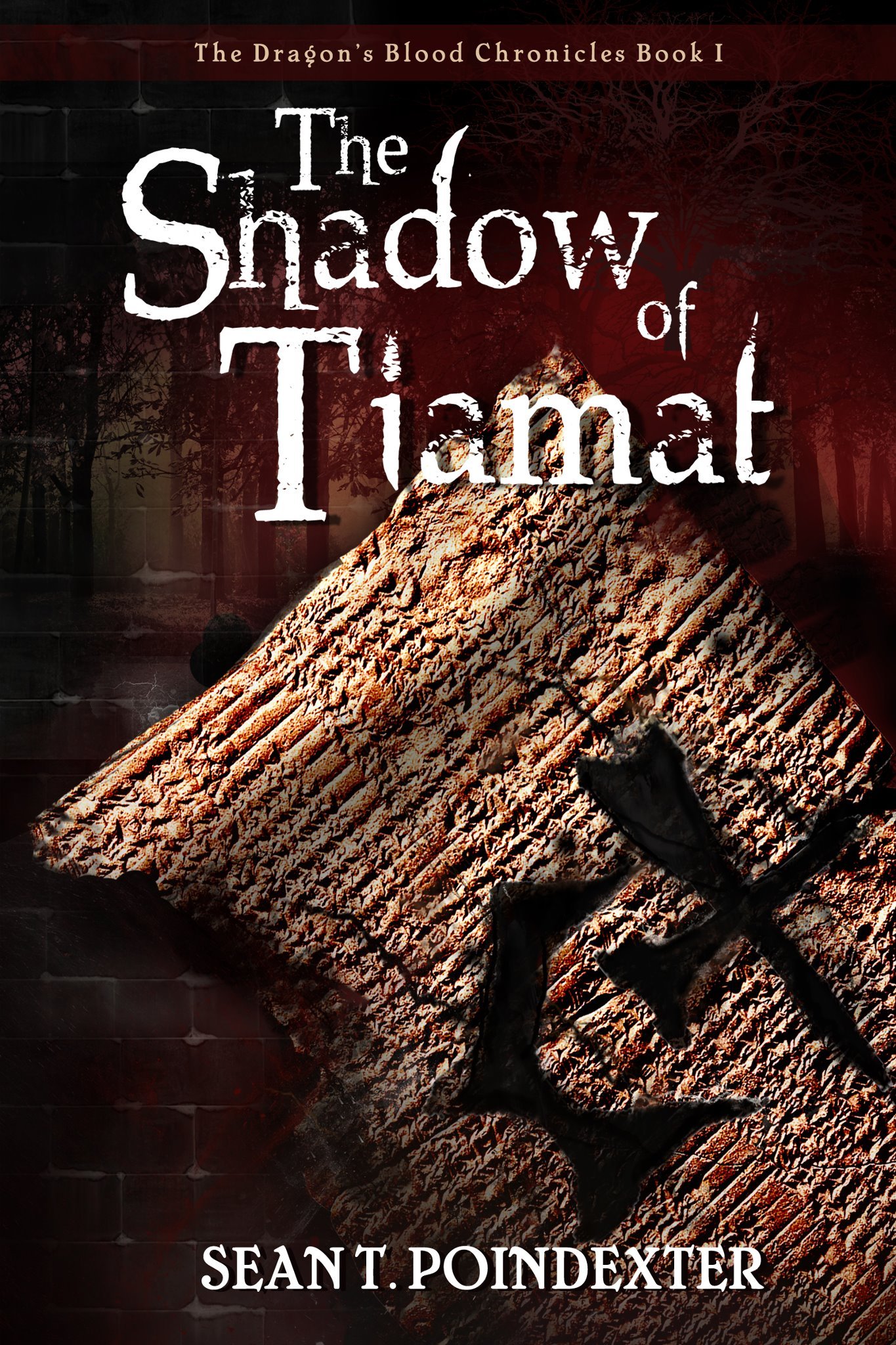 The Shadow Of Tiamat The Dragons Blood Chronicles Book 1 - 