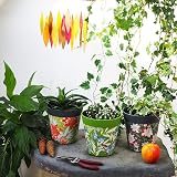 Hum Flowerpots Set of 3 15cm Indoor Outdoor Plastic Pots Green Grey view 5