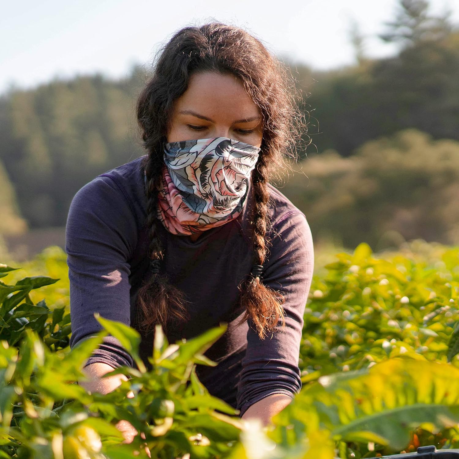 BUFF Standard CoolNet UV+ Insect Shield Multifunctional Headwear and Face Mask, Dhal Multi, One Size: Clothing