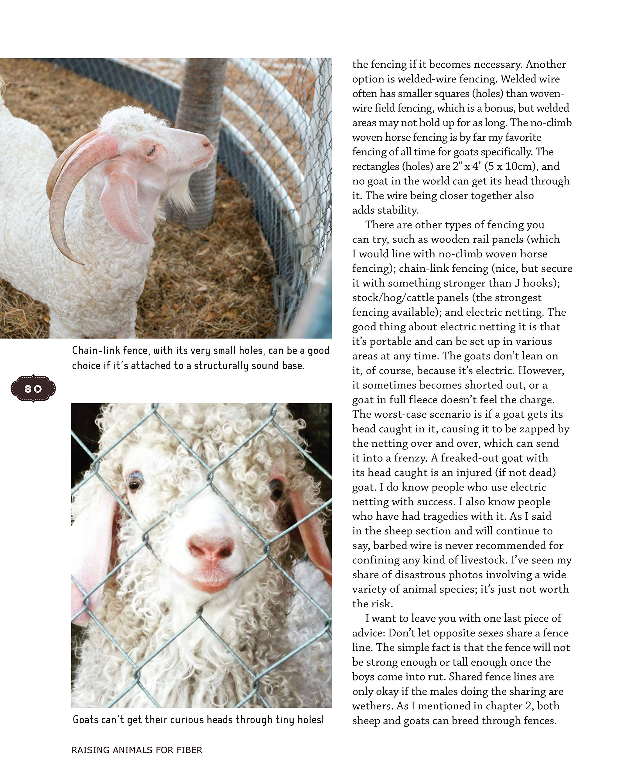 Mua Raising Animals for Fiber: Producing Wool from Sheep, Goats ...