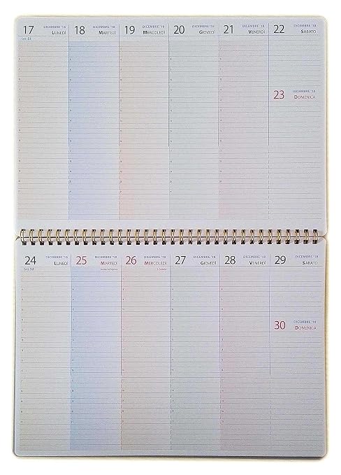 Planning Settimanale Da Tavolo Con Date Formato A4 30x21cm Planner Con Spirale