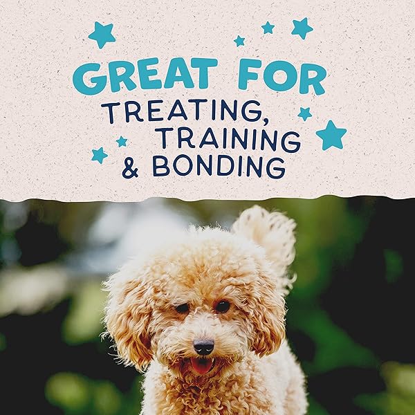 NATURAL BALANCE LIMITED INGREDIENT MINI-REWARDS TURKEY GRAIN-FREE DOG TRAINING TREATS FOR DOGS | 5.3-OZ. CANISTER
