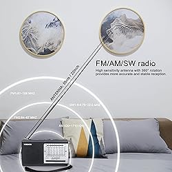 XHDATA D219 Portable AM FM Shortwave Radio Battery