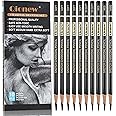 Qionew Professional Charcoal Pencils Drawing Set - 10 Pieces Super Soft, Soft, Medium & Hard Charcoal Pencils for Drawing, Sketching, Shading, Beginners & Artists