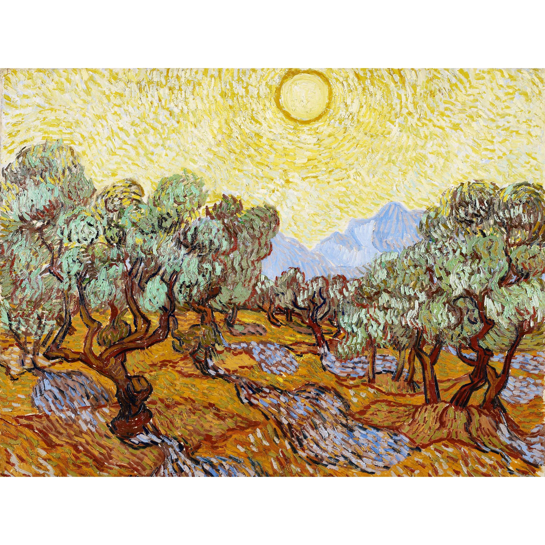 Vincent Van Gogh Olive Trees Minneapolis Institute Of Arts Large Wall Art Print Canvas Premium Poster Mural