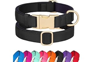 Didog Soft Padded Dog Collars for Small Dogs, Colorful and Durable Dog Collar with Quick Release Buckle, Light and Breathable for Daily Walking, Black, S