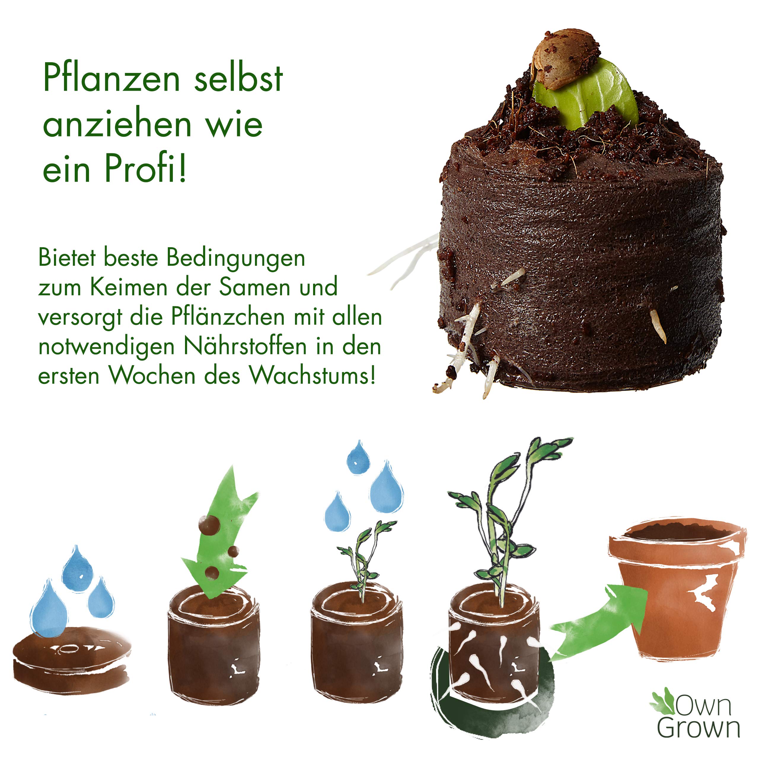Kokos Quelltabletten mit Nährstoffen – 40 Stück, Kokoserde gepresst zur Pflanzen Anzucht ohne Pikieren, torffrei – Anzucht Erde Kokos von OwnGrown 3