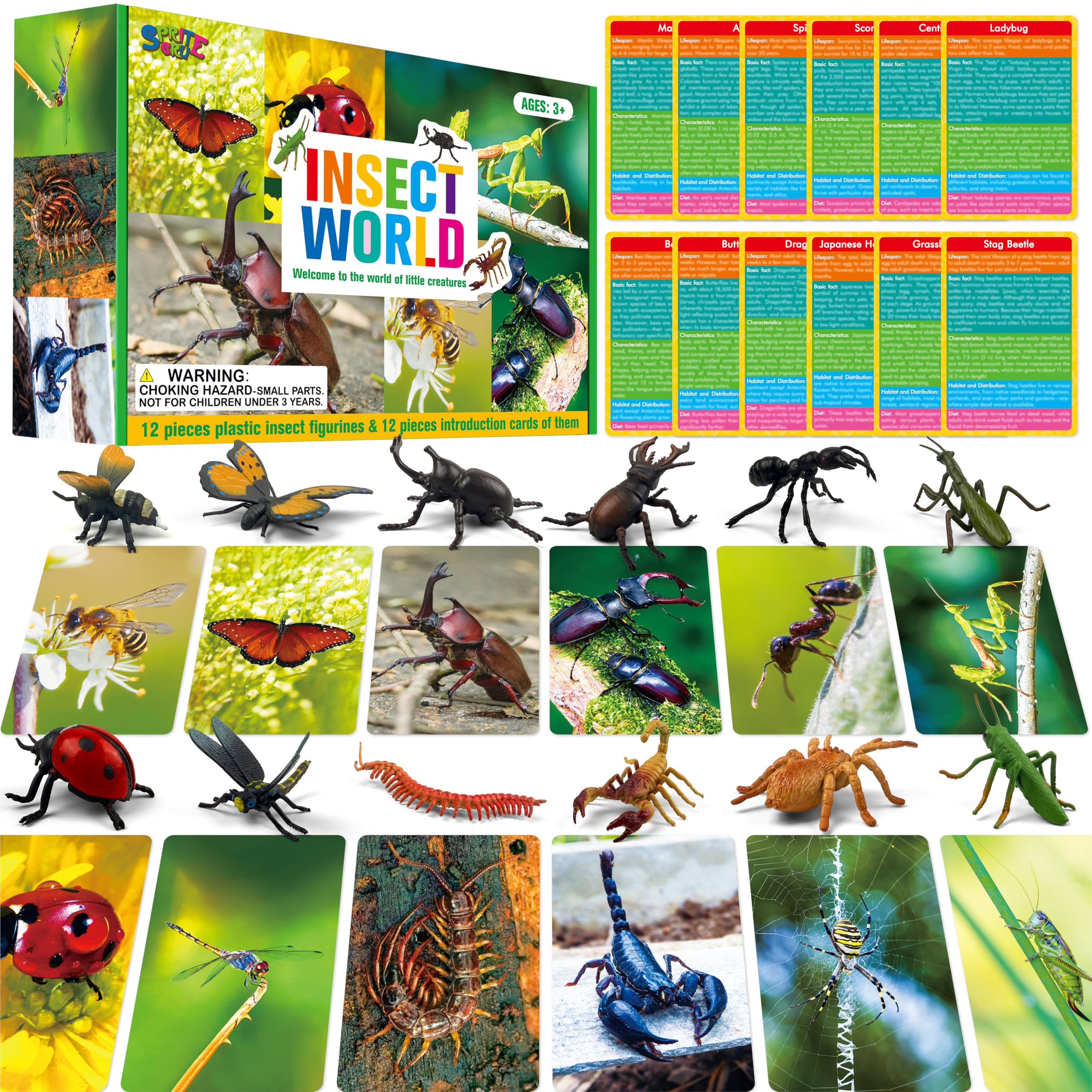 Photo 1 of 12 PCS Plastic Insect Figurines with 12 Introduction Flashcards, Small Creature Learning Recognition Cards Realistic Bug Models Educational Learning Toy Set for Kids, Classroom