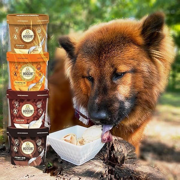 HOGGIN DOGS ICE CREAM MIX – ADD WATER AND FREEZE, ALL NATURAL, NO SUGAR ADDED, MADE IN USA BY PUPPY CAKE 4 PACK PUMPKIN, BACON, PRIME RIB AND PEANUT FLAVORS, 2.32 OZ X 4