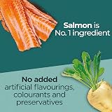 Purina One DualNature Salmon Dry Cat Food 650g Pack of 8 view 3