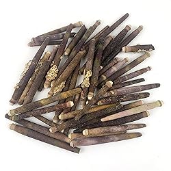 Heyiwell 6OZ(40+PC) Sea Urchin Spines for DIY Craft