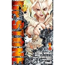 DR. STONE T01: DR. STONE T01 : Boichi, Inagaki, Riichirô: Amazon