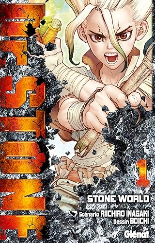 Download Dr. Stone - Tome 01: Stone World PDF