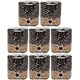 Mini All-in-One Mushroom Grow Bags (8-Pack)