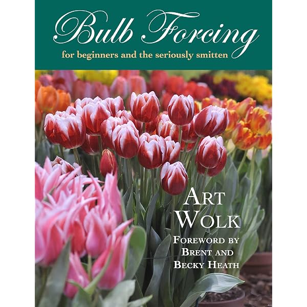 The Indoor Potted Bulb ~ Decorative Container Gardening with