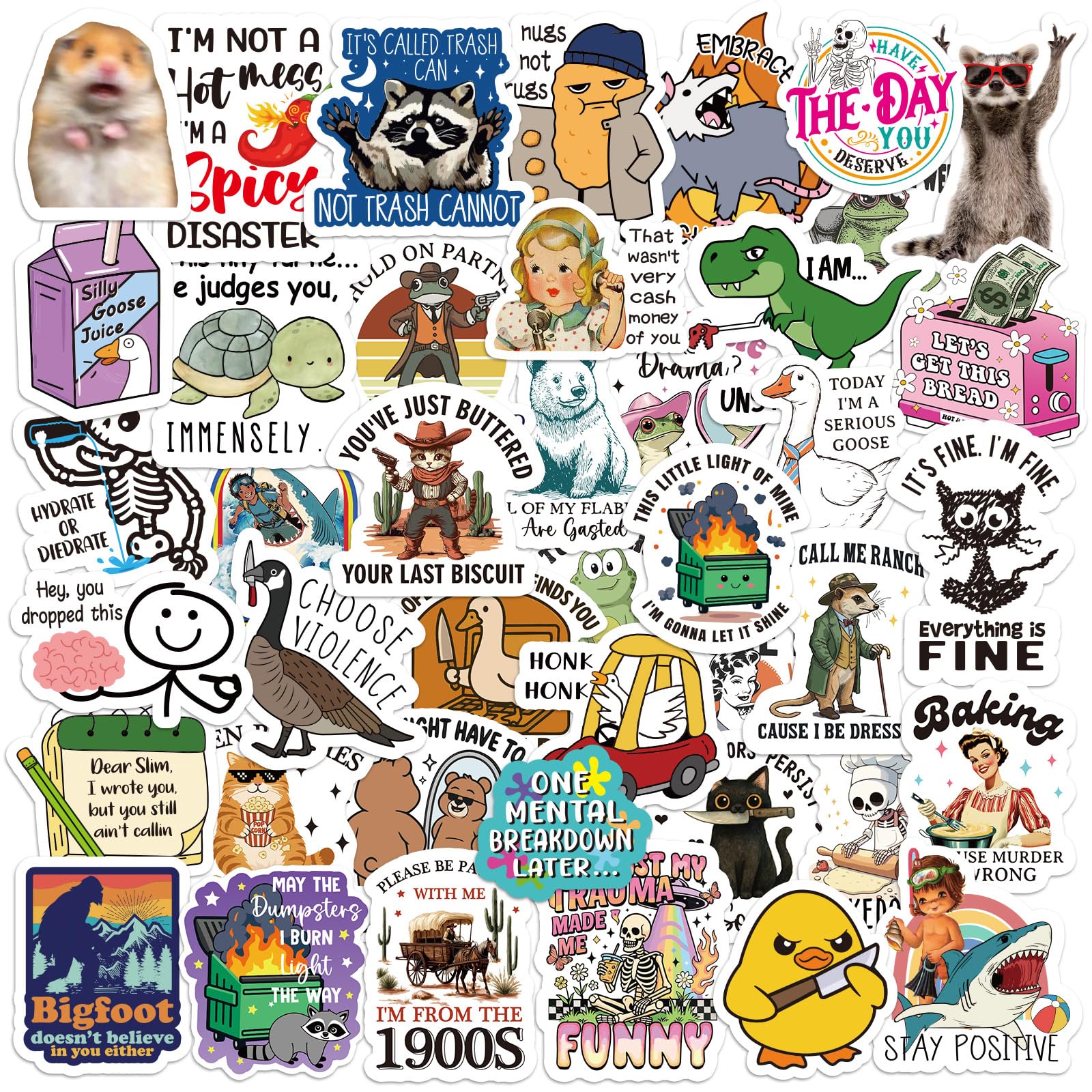 Chivertion 400 Pcs Funny Stickers for Adults Waterproof Funny Meme Stickers Pack for Laptop, Water Bottles, Bumper, Phone, Hard Hats, Wall, Window Decals Decors, 200 Styles