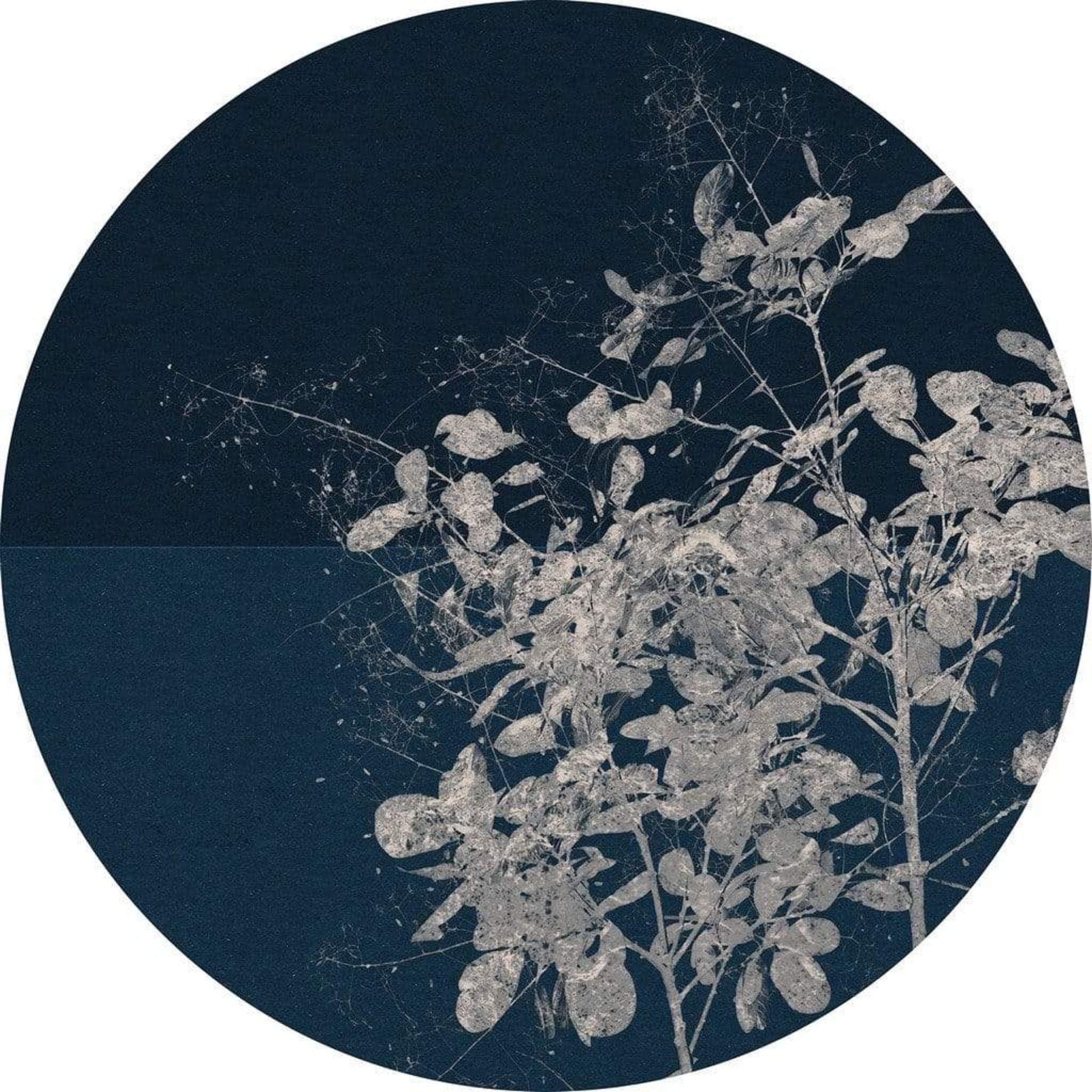 Komar D1-033 Dot, selbstblebende Vlies Fototapete Self-Adhesive and Round Photo Wallpaper, Colourful, Größe: 125 x 125 cm