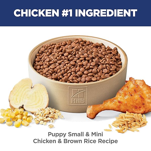 HILL’S SCIENCE DIET PUPPY SMALL & MINI BREEDS DRY DOG FOOD, CHICKEN, BROWN RICE, & BARLEY, 4.5 LB BAG