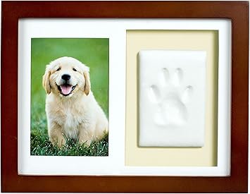 puppy tearing up pee pad