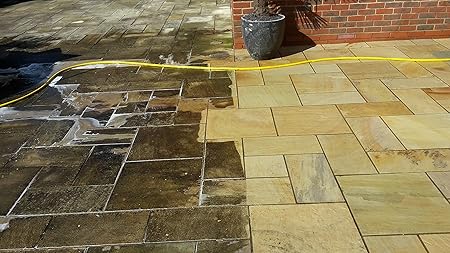 Black Spot Lichen Remover Sandstone Cleaner Block Cleaner Patio